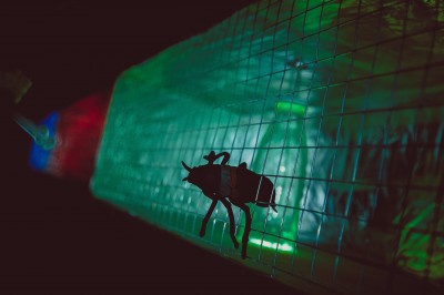 Містика, з актором Вторгнення у свідомість